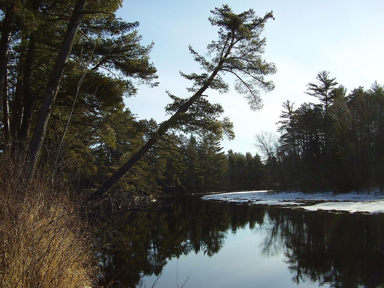 Manitowish River near the historic Six Pause Portage.