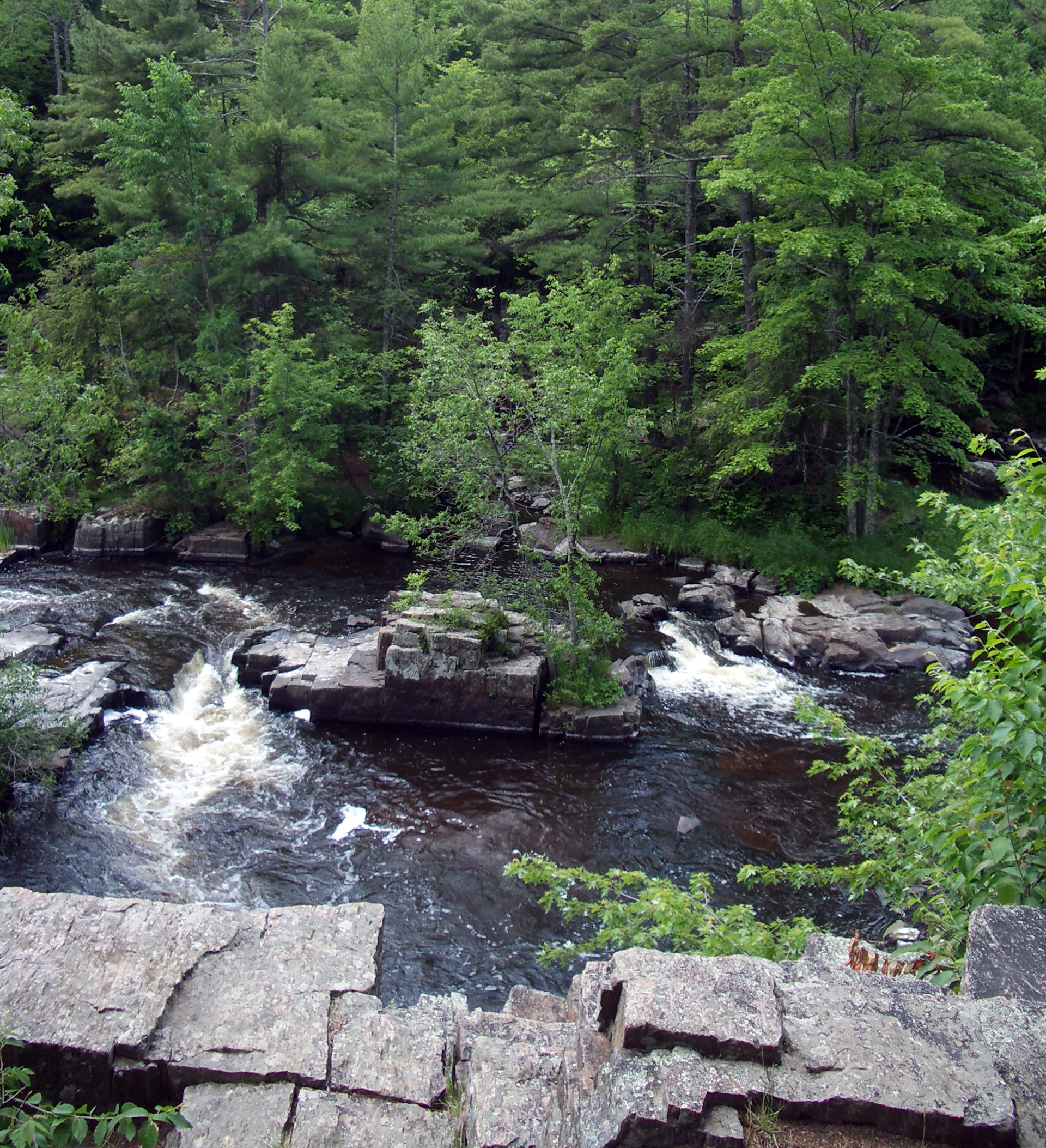 The Dells of the Eau Claire River County Park