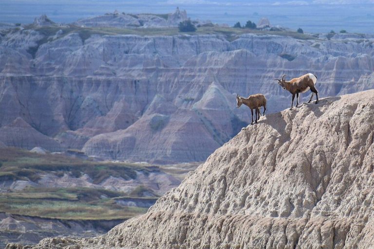 Badlands National Park