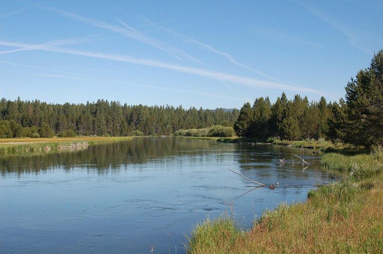 A photo of the Deschutes River in Sunriver, Oregon.