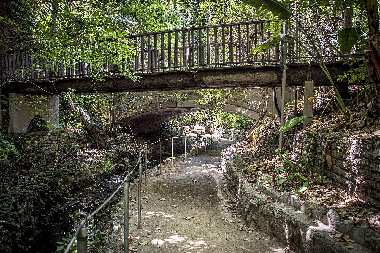 Fern Dell Area of Griffith Park