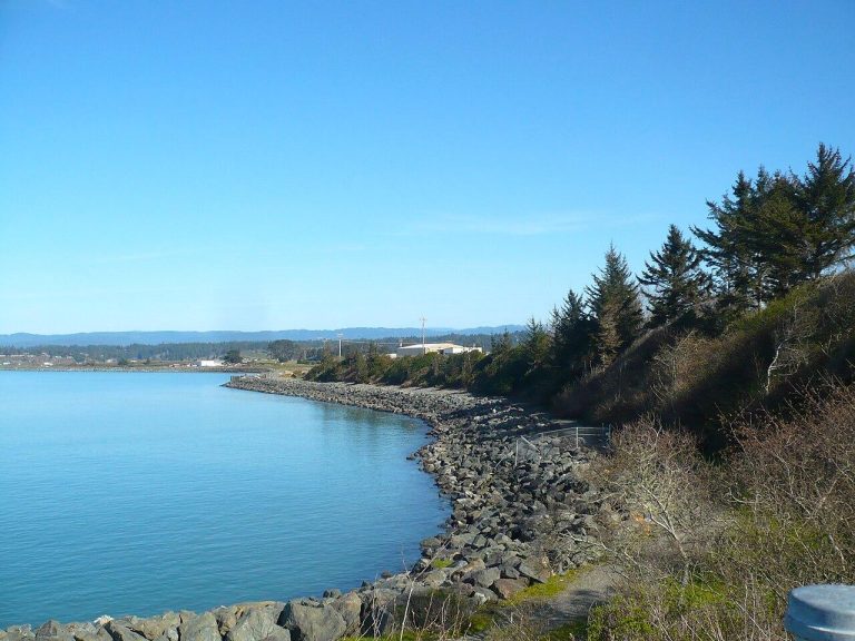 Humboldt Bay from Buhne Point