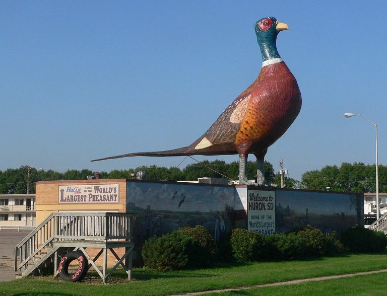 World's Largest Pheasant" on south side of U.S. Highway 14 in Huron, South Dakota
