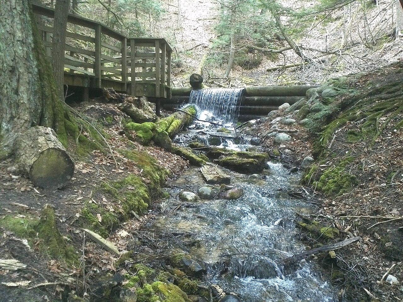 One of the springs at Iargo Springs along the AuSable River in Oscoda, MI