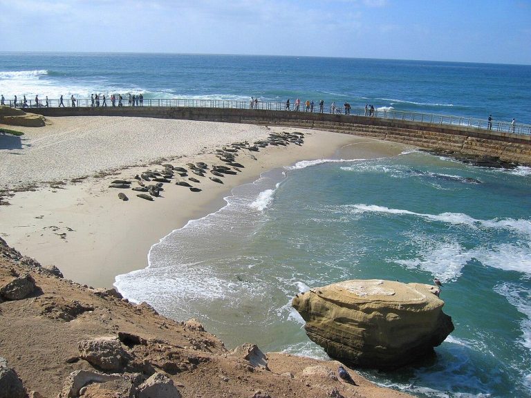 Children's pool, La Jolla