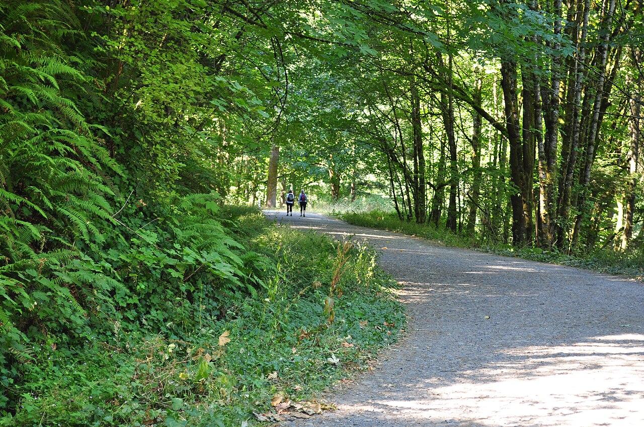 Leif Erikson Drive, Forest Park, Portland Oregon