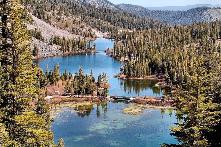 Mammoth Lakes - river and trees