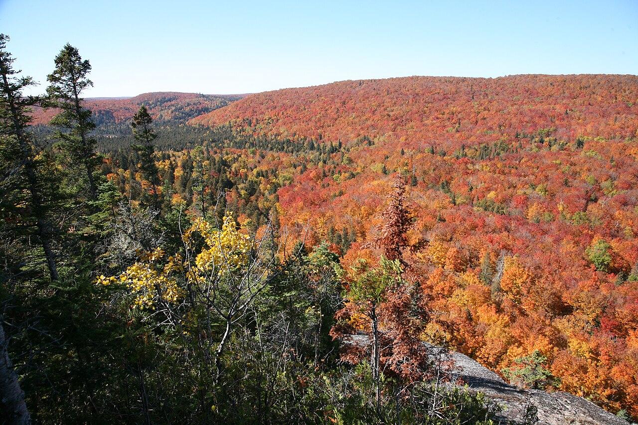 English: View of the beautiful fall colors from top of Moose Mountain.