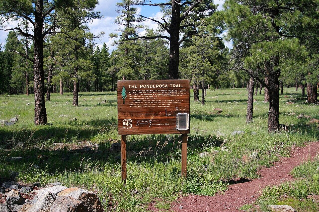 Ponderosa Trail
