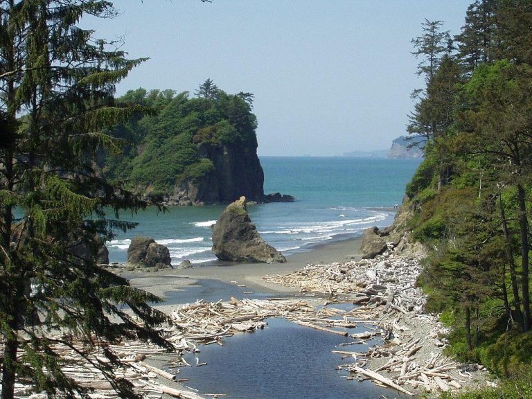 Ruby Beach In Washington State