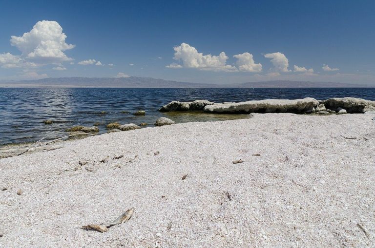 Salton Sea - sand/salt, water, blue sky with clouds