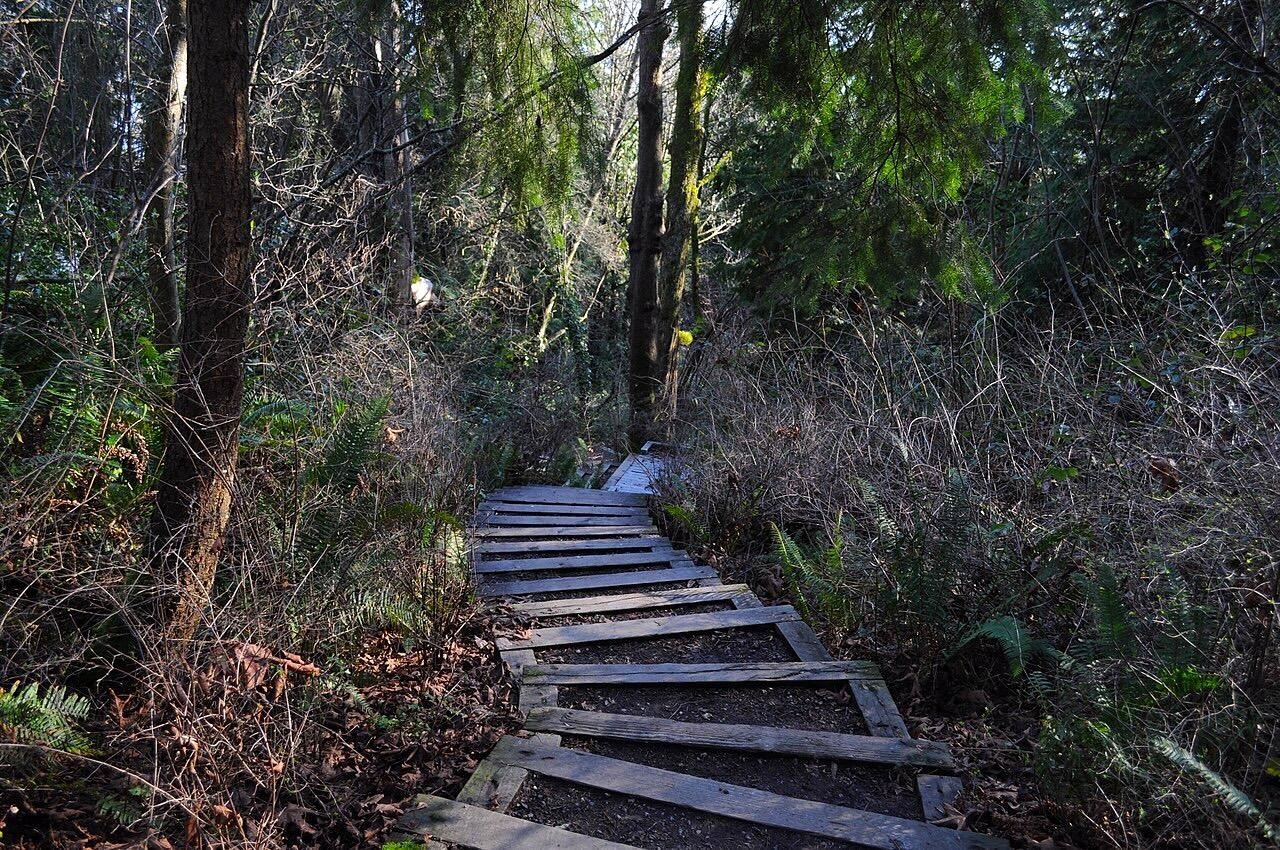 Trail/Stairs in the Madrona Woods, Madrona Park, Seattle, Washington