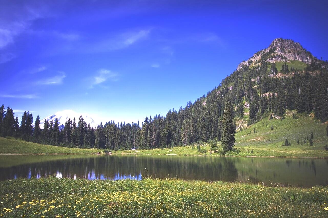 Tipsoo Lake