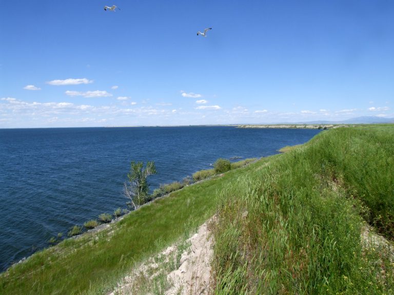 American Falls Reservoir