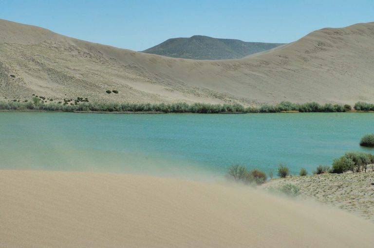 Sand dunes at Bruneau Dunes State Park