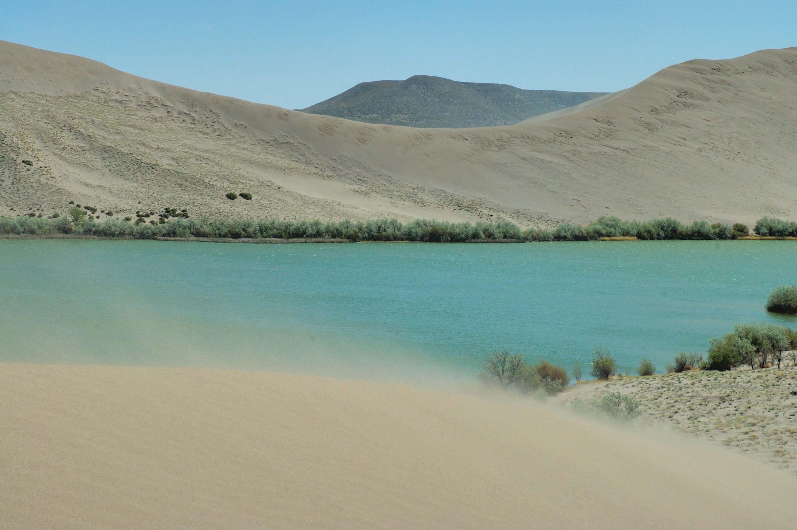 Sand dunes at Bruneau Dunes State Park