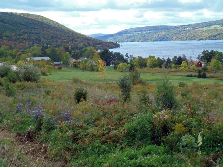 Canandaigua Lake, one of the Finger Lakes