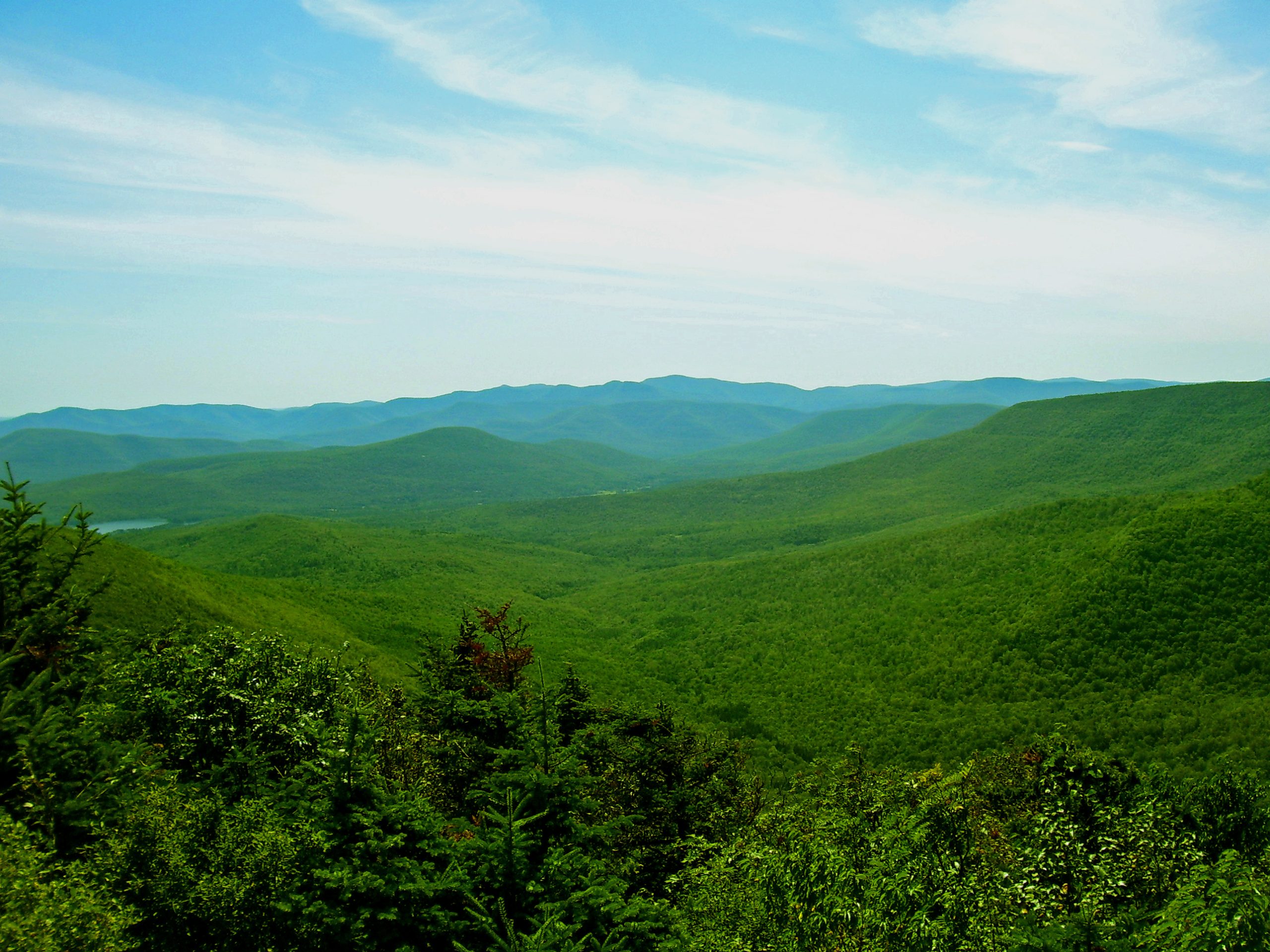 Photographed by Daniel Case 2006-08-12