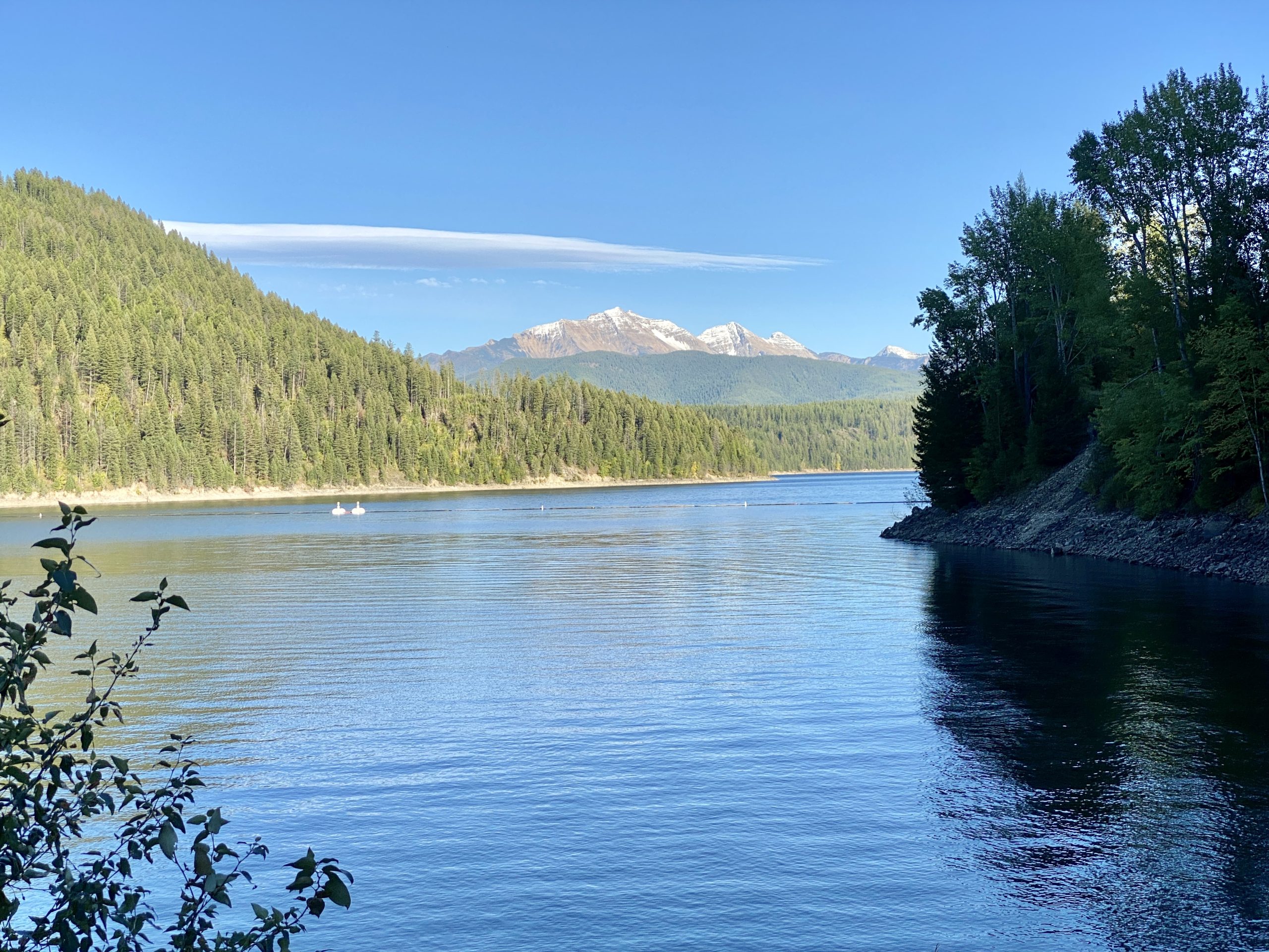 Hungry Horse Reservoir and surrounding forested mountains