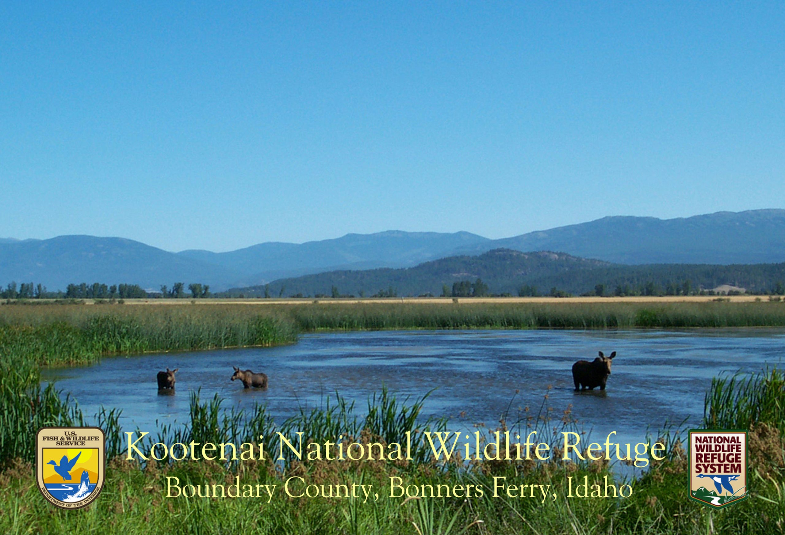 Kootenai National Wildlife Refuge & Bonners Ferry landscape