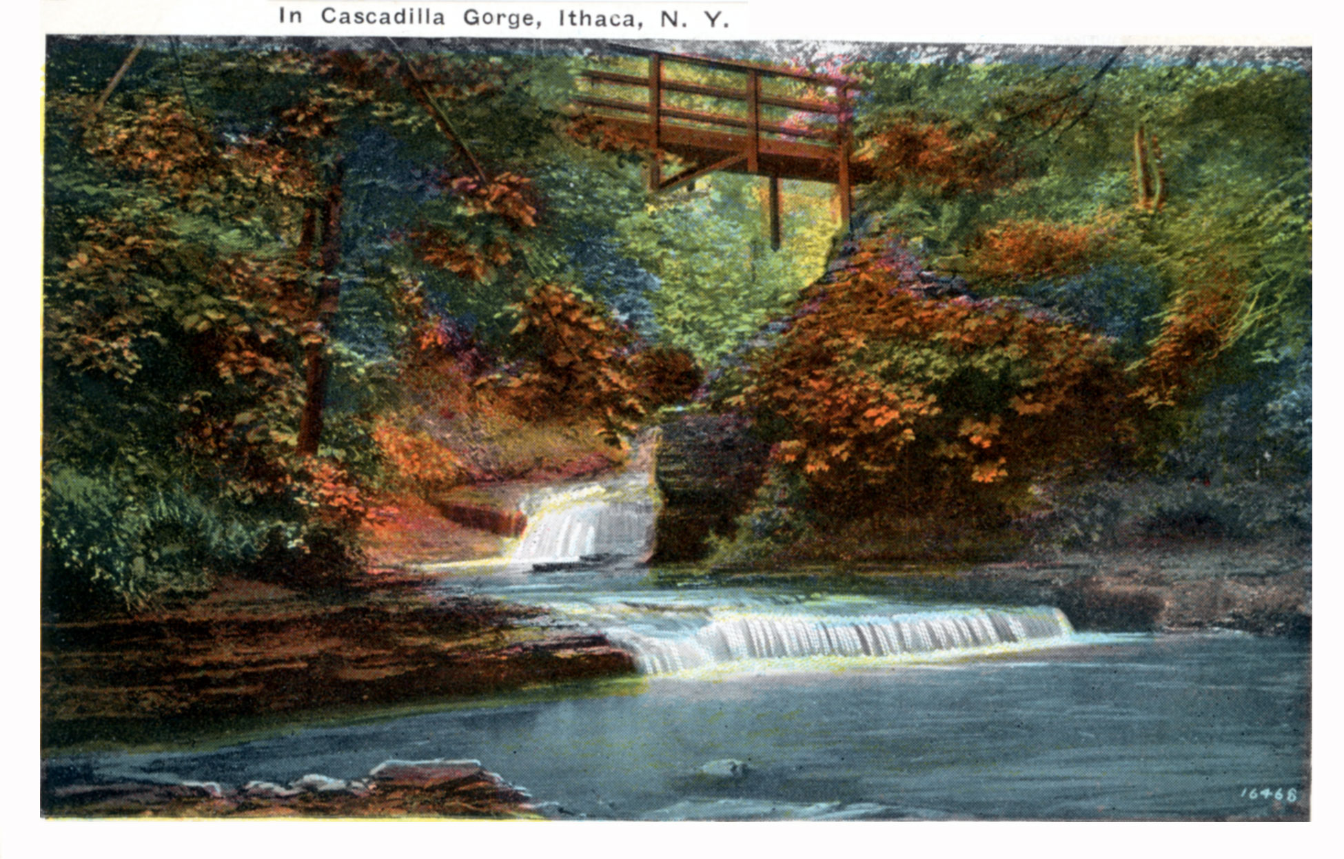 Photomechanical print (postcard) : halftone, tinted 
Divided back