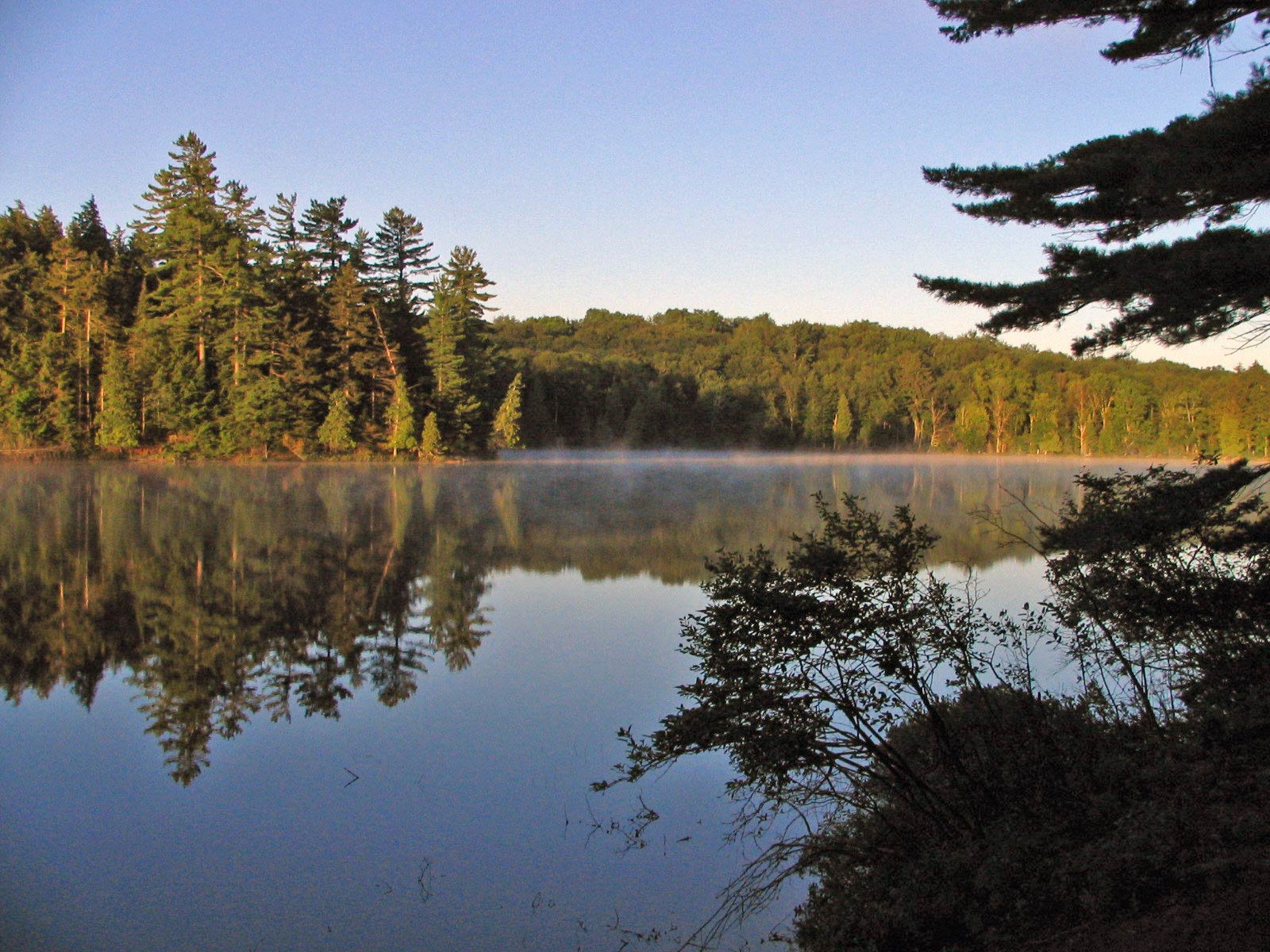 Long Pond, in the Saint Regis Canoe Area.
Taken by en:User:Mwanner, 19 July, 2006.
en:Category:Hamilton County, New York

en:Category:Images of New York City
