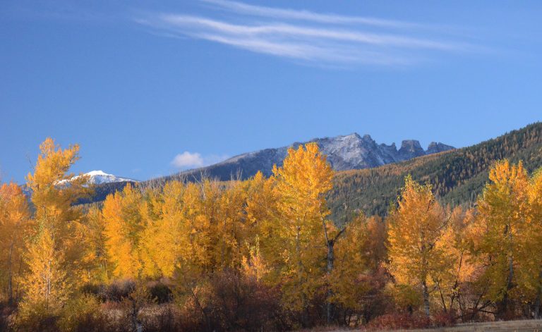 Fall color in the Bitterroot Valley near Florence