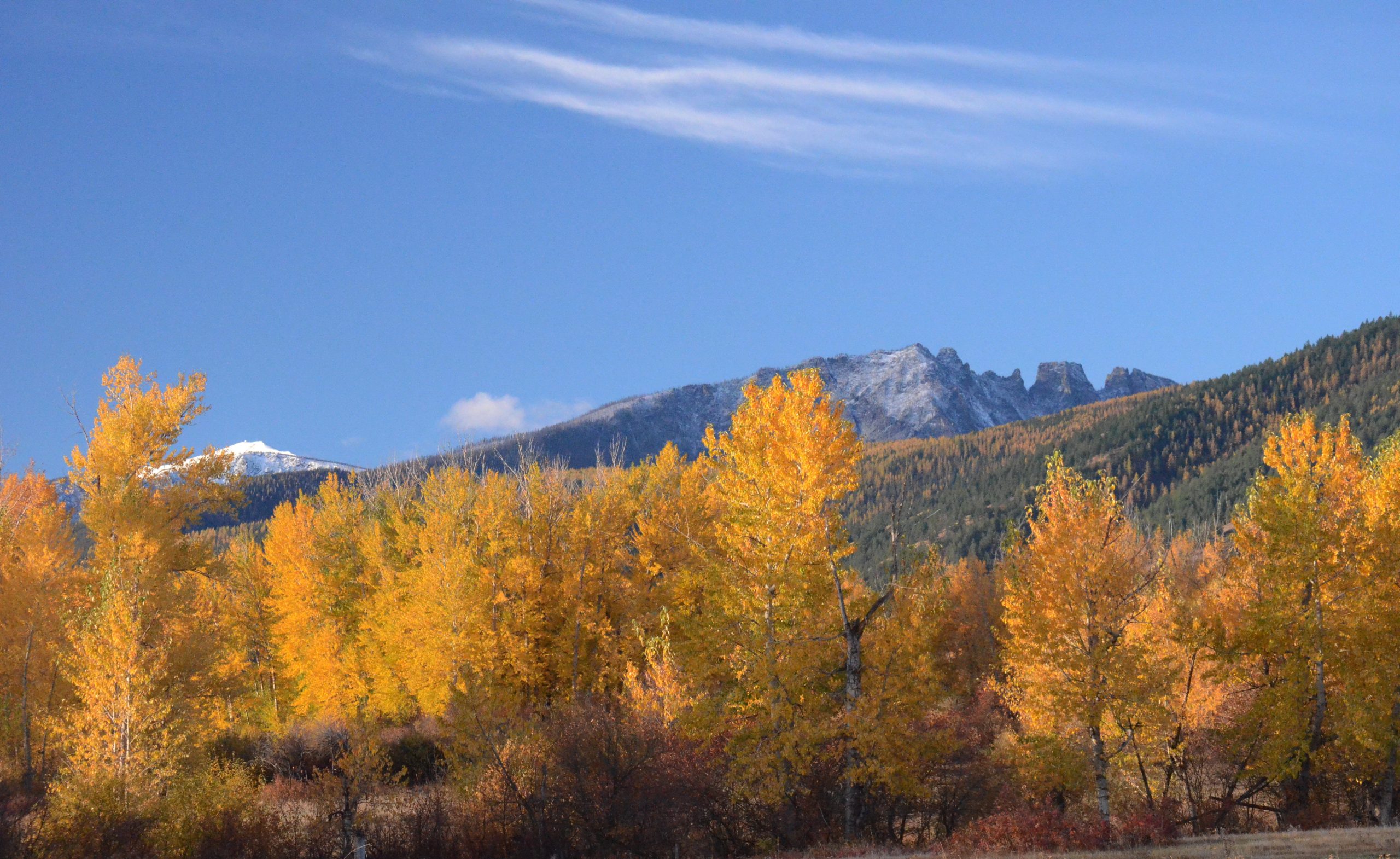 Fall color in the Bitterroot Valley near Florence