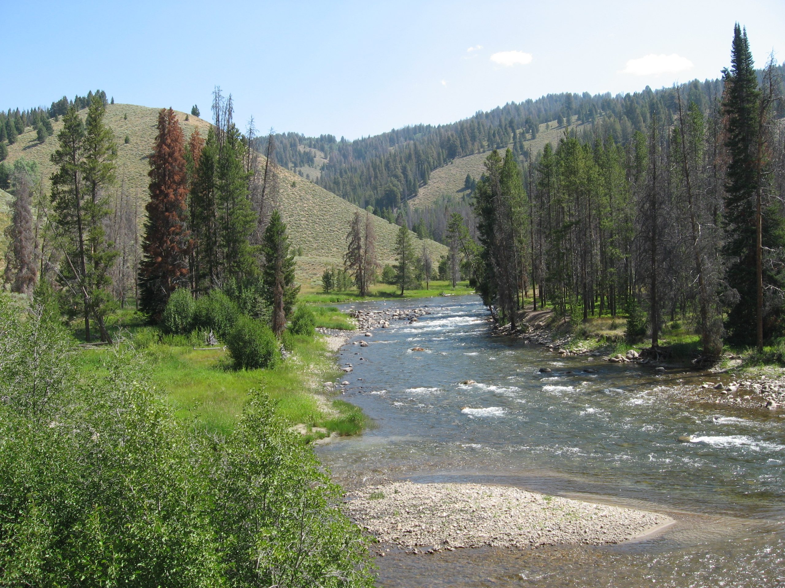 The Salmon River is the largest tributary of the Snake River. Salmon River in Sawtooth National Recreation Area.