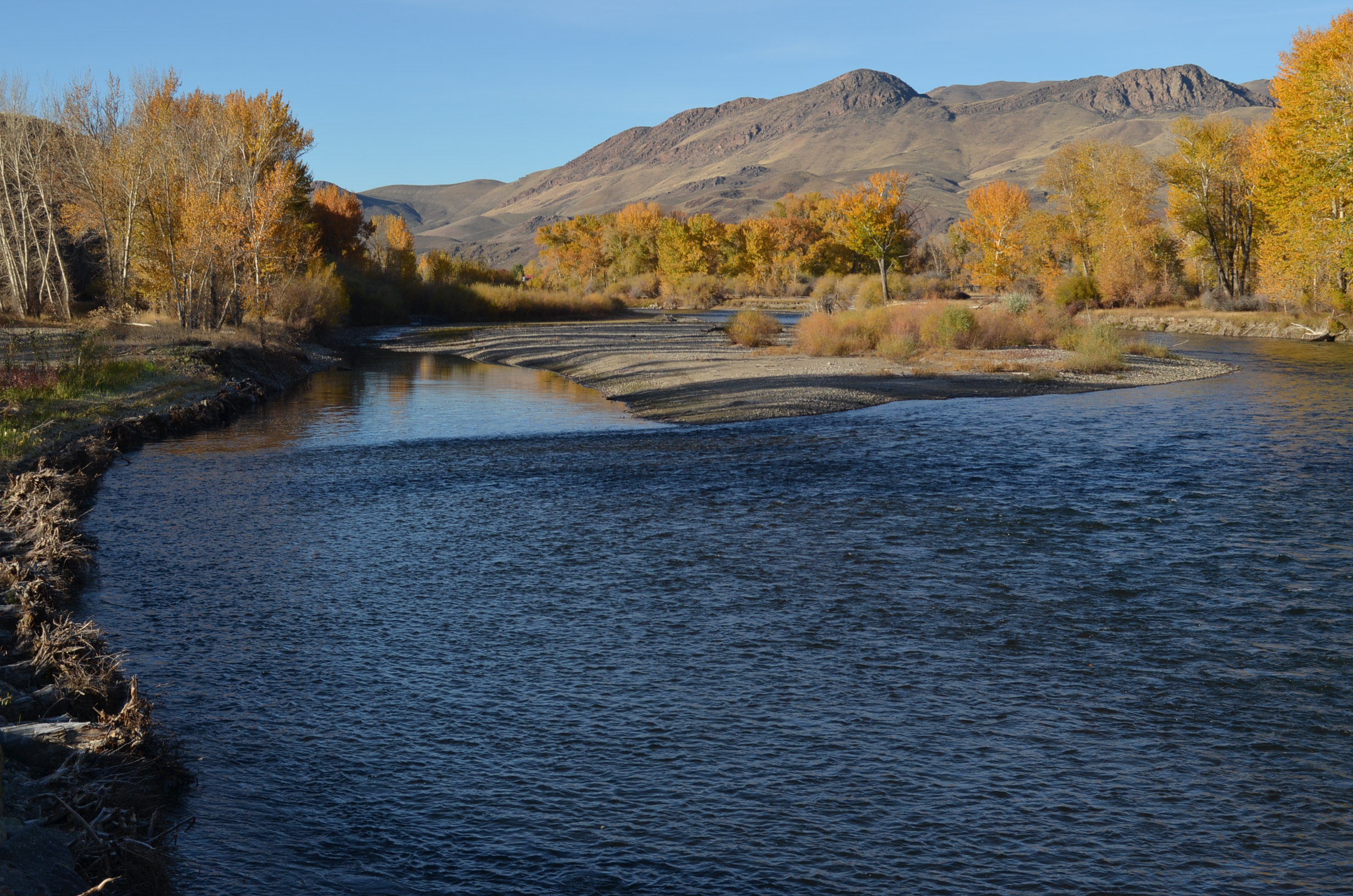 Salmon River north of Challis, Idaho, A. Hedrick, BLM