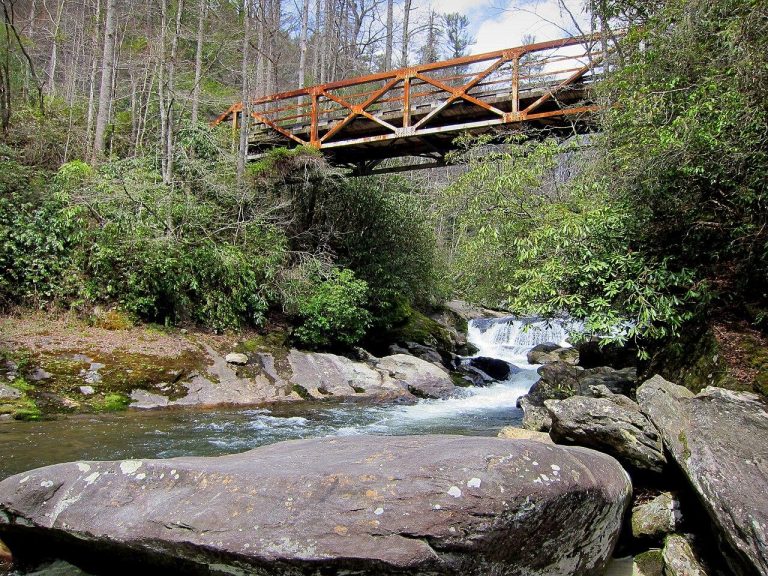 Chattooga River Under the Bull Pen Bridge