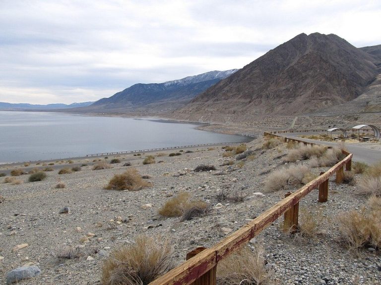 Walker Lake State Recreation Area