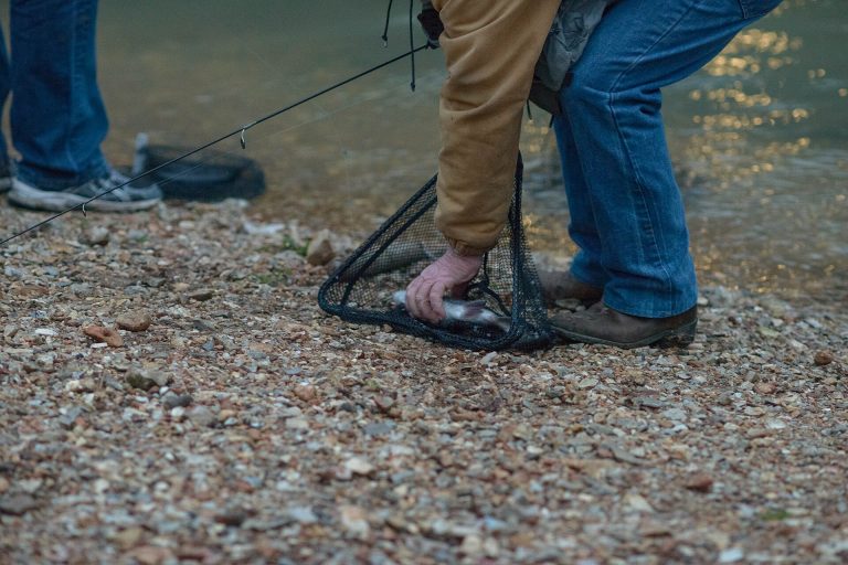 Anglers fishing the spring-fed trout stream at Roaring River State Park