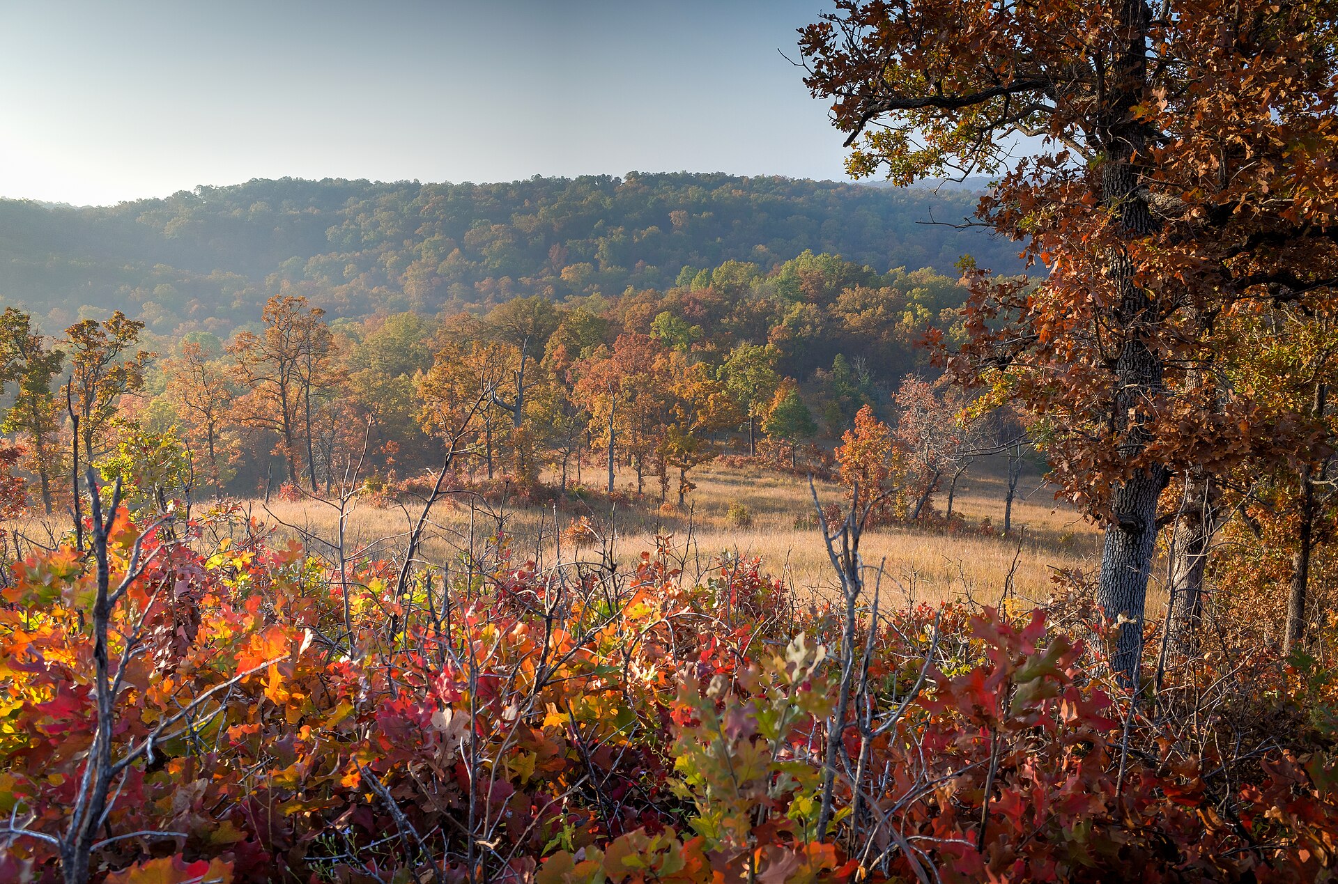 Stone castle ruins above wooded hills at Ha Ha Tonka State Park