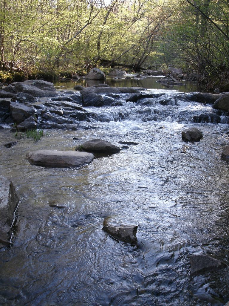 Clear water flowing over rock ledges in Pickle Creek at Hawn State Park