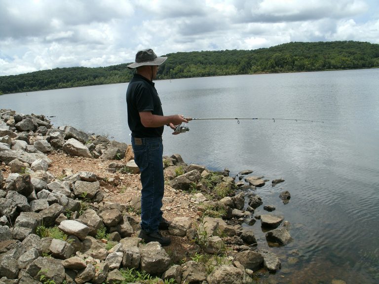 Lake Wappapello open water bordered by wooded Ozark shoreline