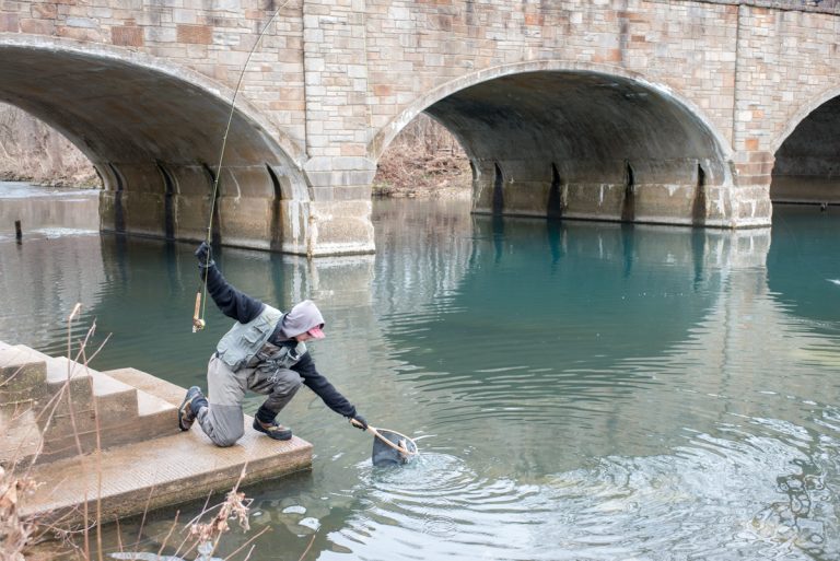 Anglers along the managed trout stream at Bennett Spring State Park