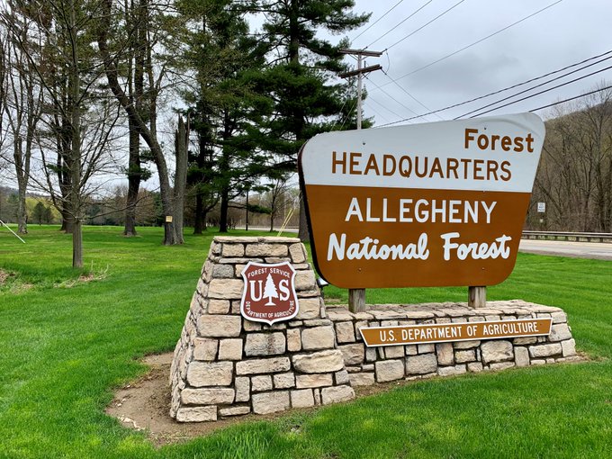 Outdoor landscape at Allegheny National Forest in Pennsylvania