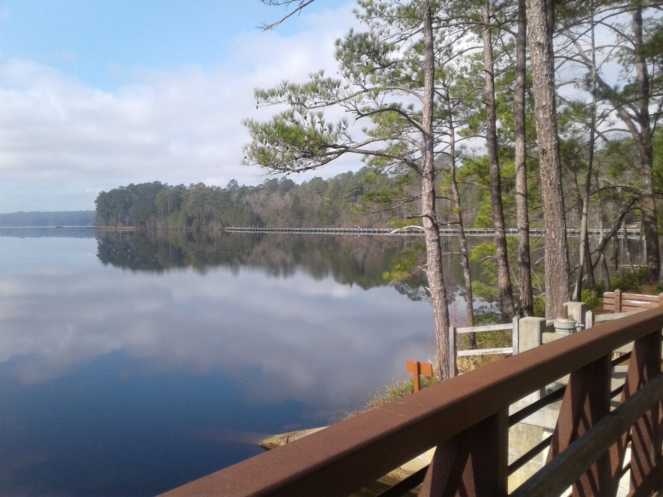Outdoor scenery at Cheraw State Park
