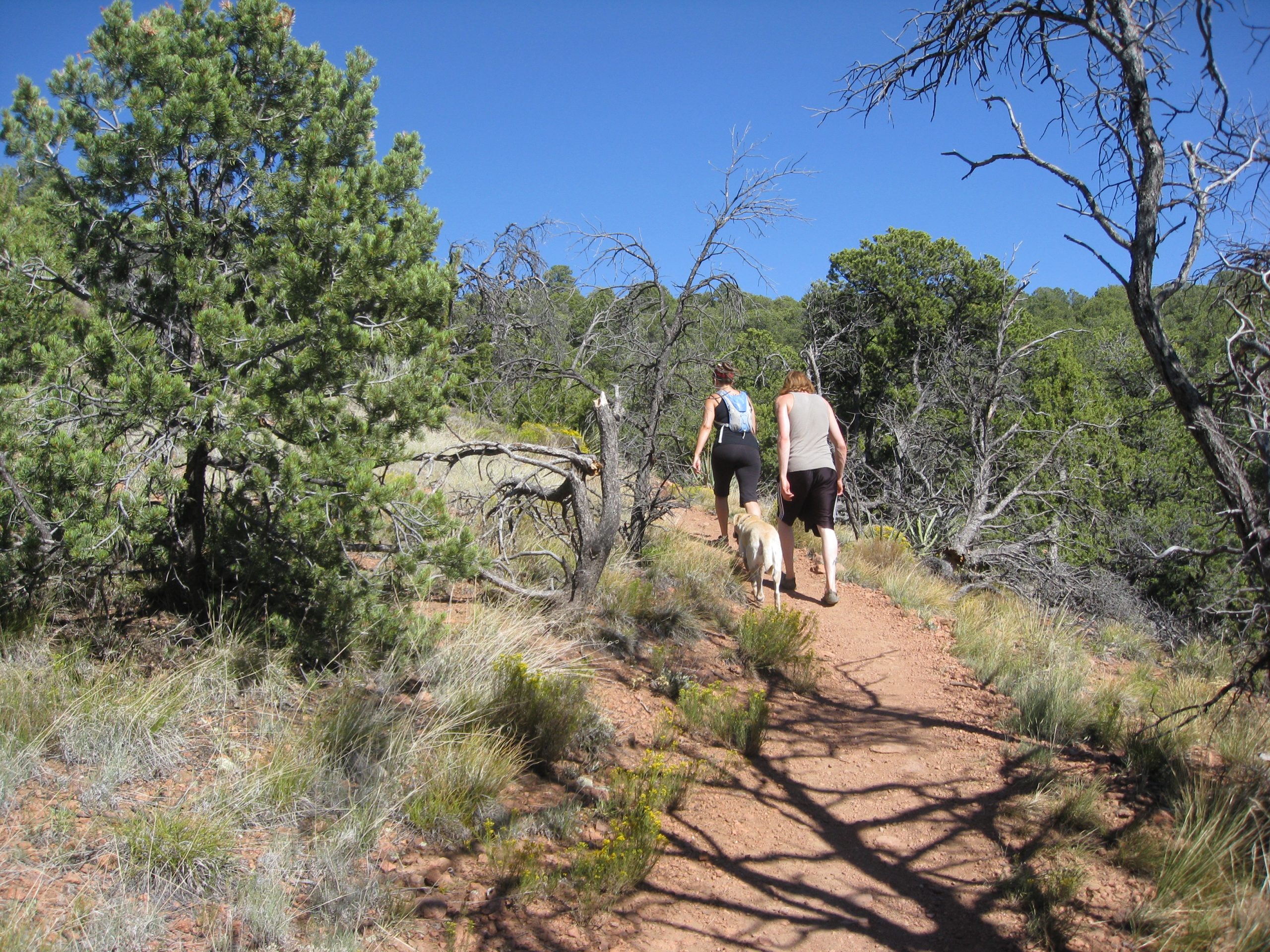 Dale Ball Trails in Santa Fe in New Mexico
