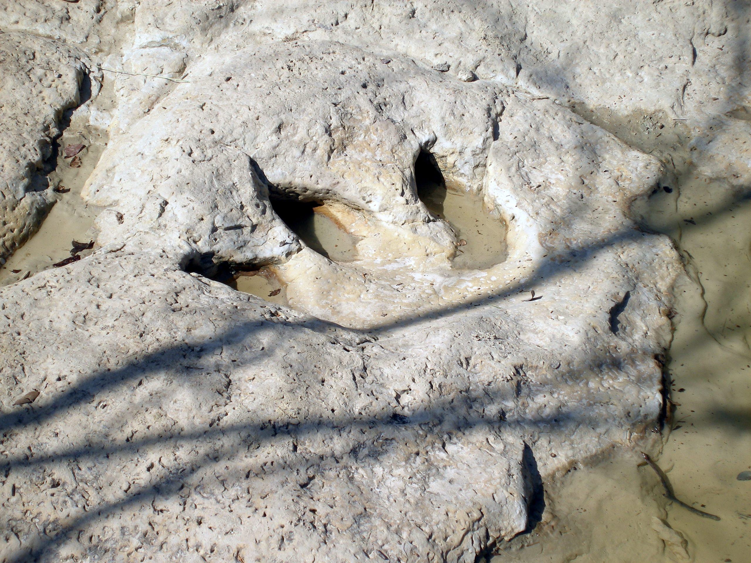 Dinosaur Valley State Park & Glen Rose landscape and visitor setting