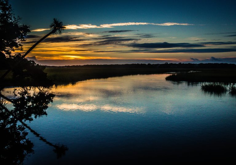 Outdoor scenery at Edisto Beach State Park