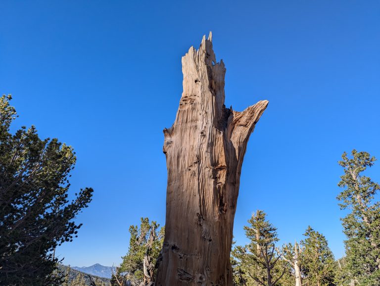 Outdoor scenery at Great Basin National Park