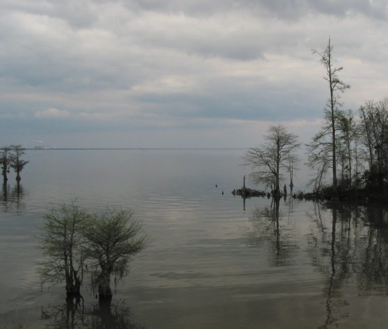 Outdoor scenery at Lake Moultrie