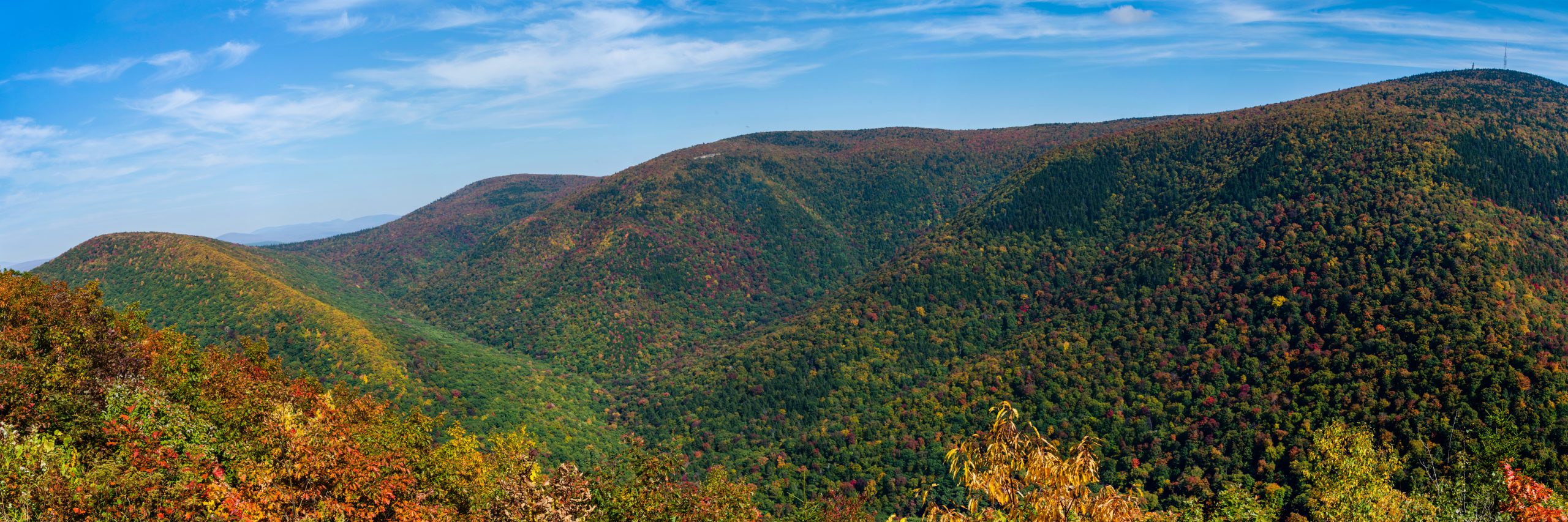 Mount Greylock State Reservation landscape and visitor setting