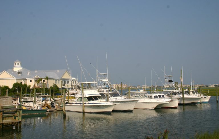 Outdoor scenery at Murrells Inlet