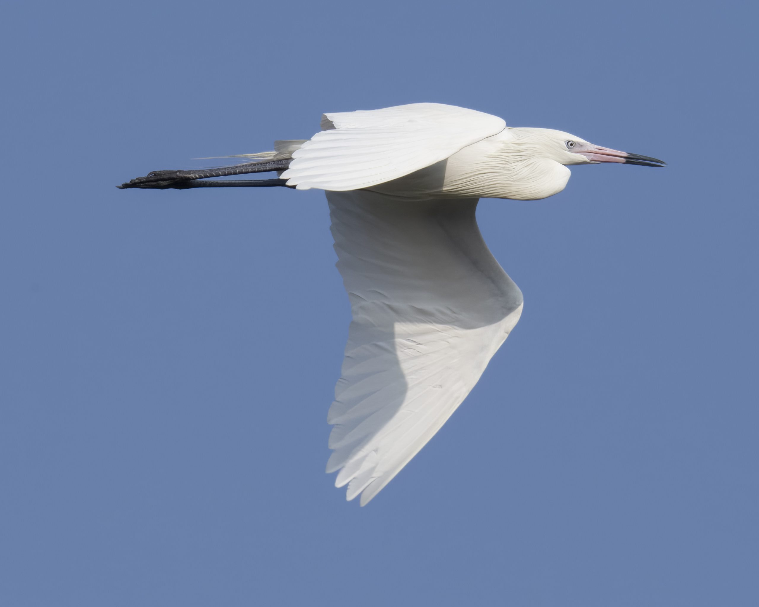 South Padre Island & Laguna Madre landscape and visitor setting