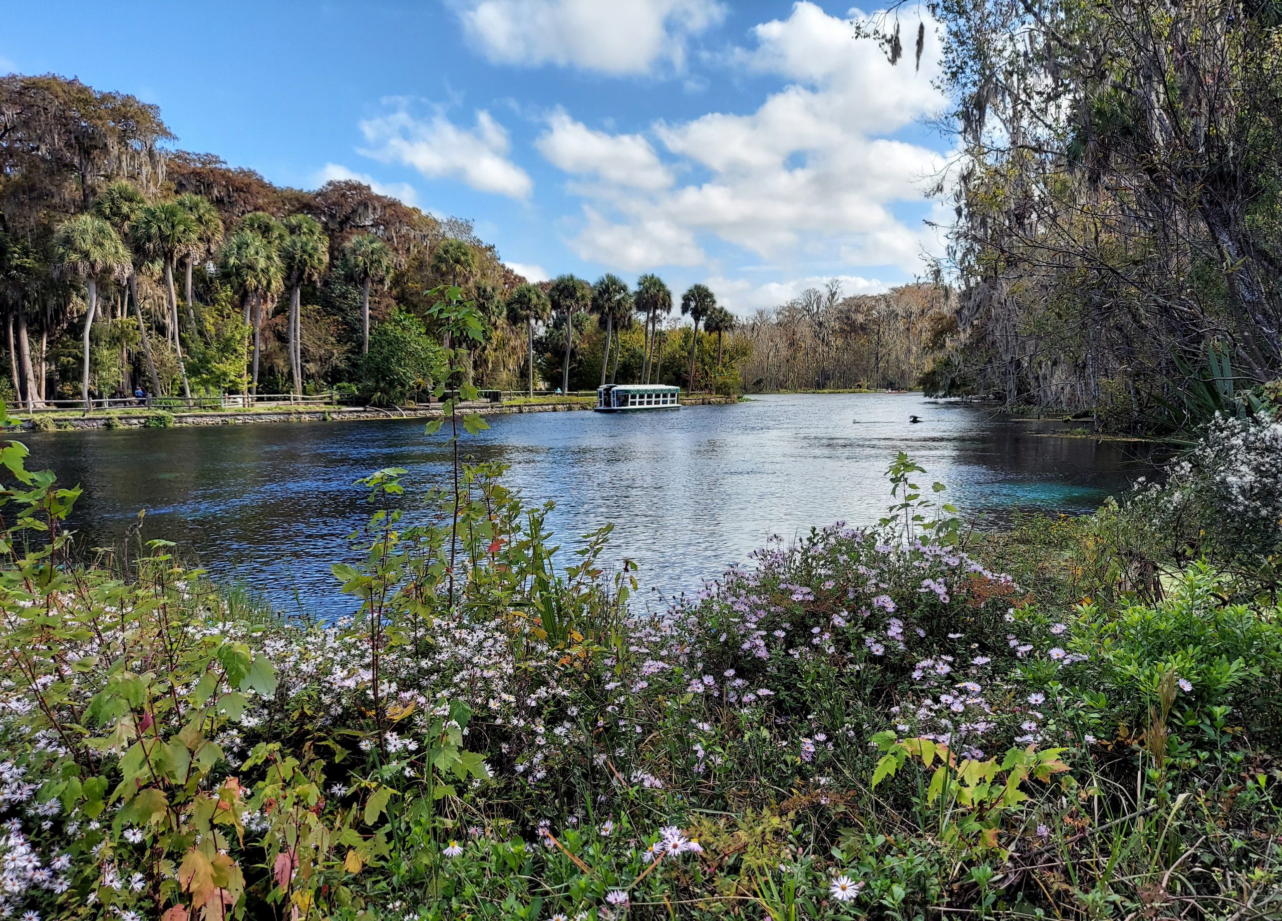 Outdoor landscape at Silver Springs State Park in Florida