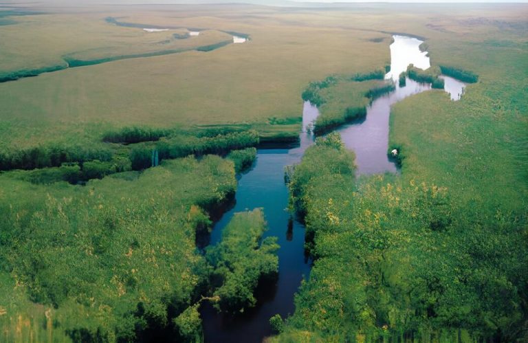 Outdoor scenery at Waccamaw River & National Wildlife Refuge